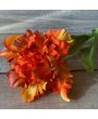 Тюльпан попугайный "Принц" оранжевый, 68 см