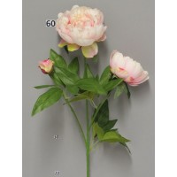 Пион "Герцогини де Немур", ветка, розовый, 69 см