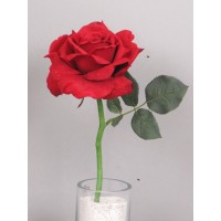 Роза короткая Королева Анна, красная,  искусственная