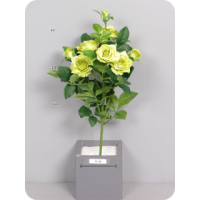 Роза Потро, искусственная, букет зеленый, 45 см 