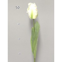 Тюльпан Дентон, белый, 62 см