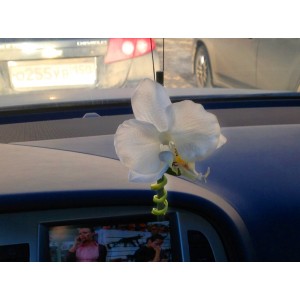 Ароматизированная палочка для авто в цветочной миникомпозиции. Натуральный запах цветочного букета сохраняется до 60 дней. 