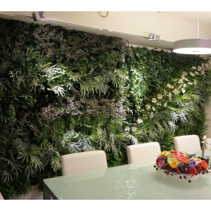Фитостена, вертикальное озеленение, зеленые стены 