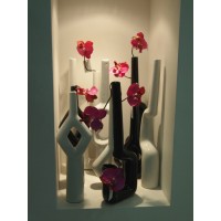 Фаленопсис на ножке, орхидея, ветка, фуксия (композиция)