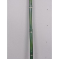Бамбуковая палка, диаметр 1см, длина 200 см