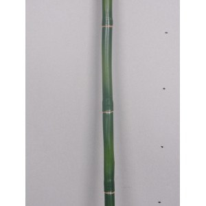 Бамбуковая палка диам.1см, длина 200 см
