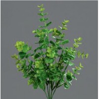Эвкалипт куст зеленый, 37 см