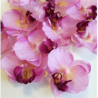 Упаковка из 12 шт. Головки фаленопсиса/орхидеи, розовые, маленькие