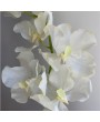 Орхидея Ванда, крем, 95 см