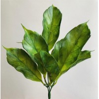 Магнолия, куст с листьями, зеленый, 32 см