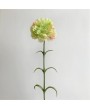 Гвоздика Arbella, салатовая, 70 см
