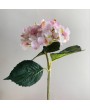 Гортензия Artist розовая, 48 см