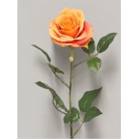 Роза Дижон,оранжевая, 64 см