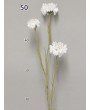 Василек белый, 3 цветка/1 куст, 60 см