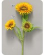 Подсолнечник Tuscany, желтый, 3 цветка, 85 см