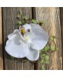 Заколка-брошь, бутоньерка " Белая орхидея" в ассортименте